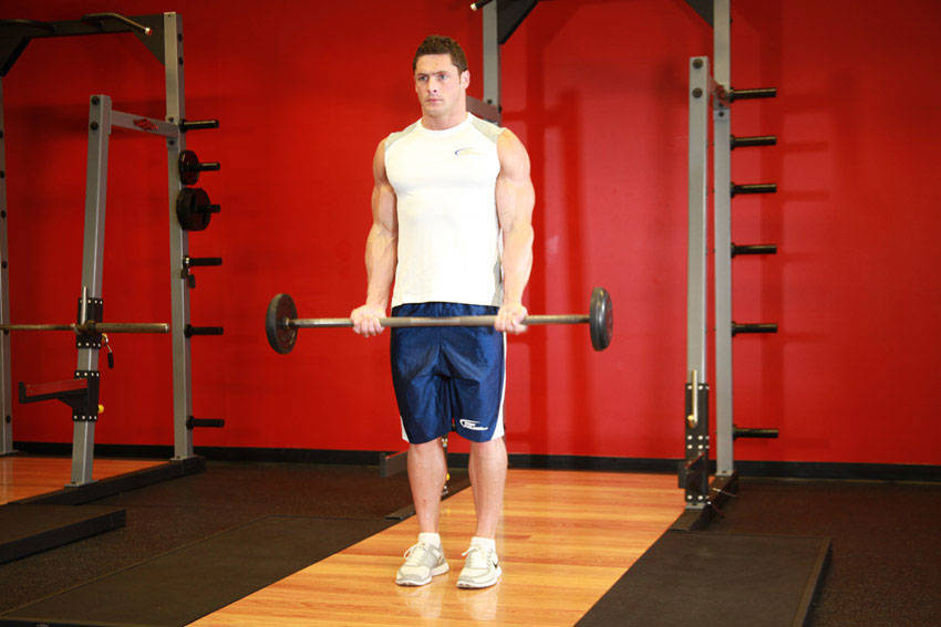Bicep Curls form - step 1