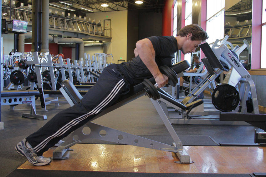 Dumbbell Row form - step 2